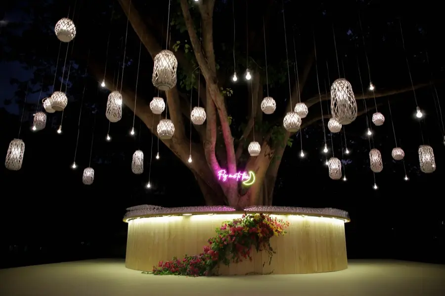 Rain tree hung with woven lanterns and pendant lights at night